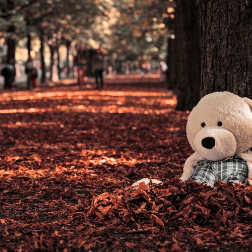 08 - herbstliches Wien