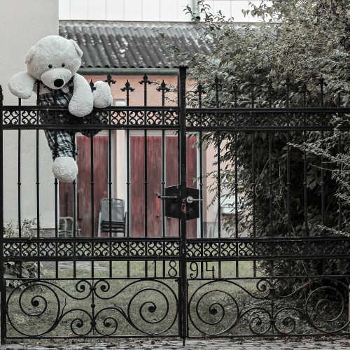 13 - eingezäunt