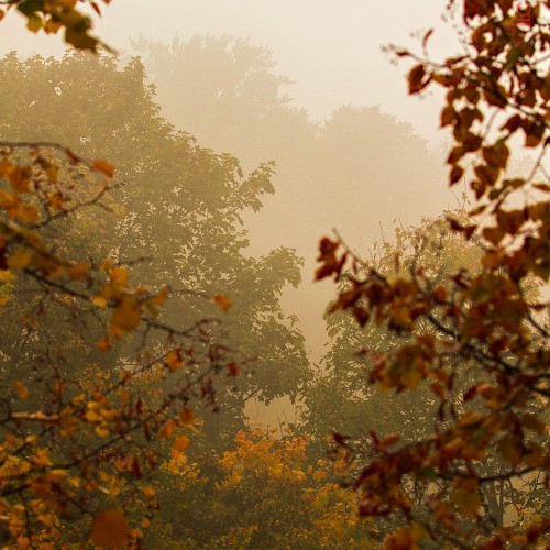 natur-13