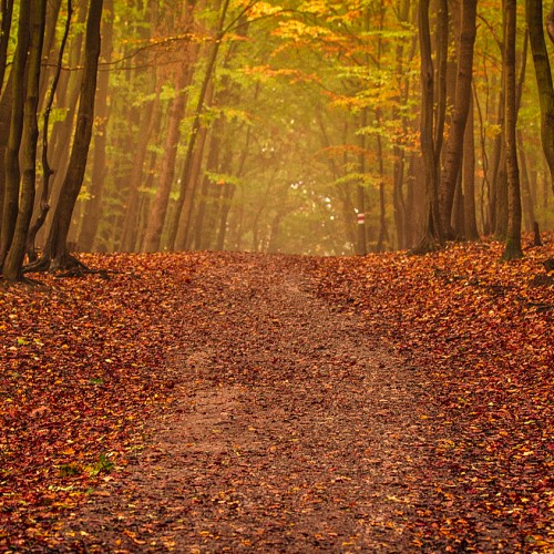 natur-15