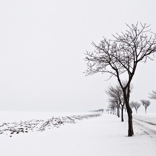 natur-17